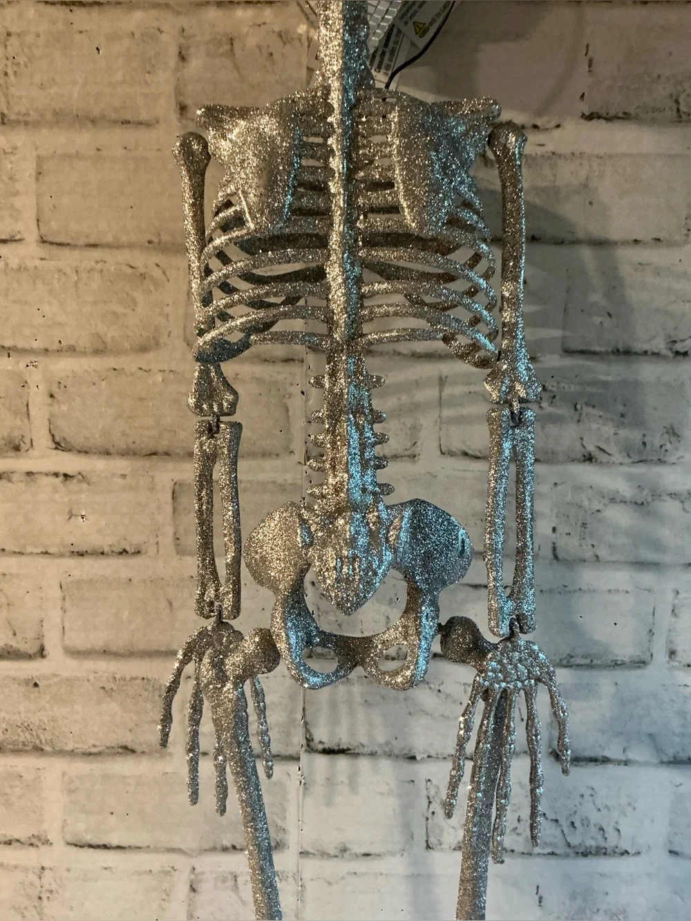 RACHEL ZOE 32in Led Disco Skeleton
